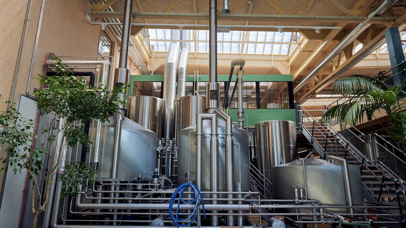 A beer called Gustav